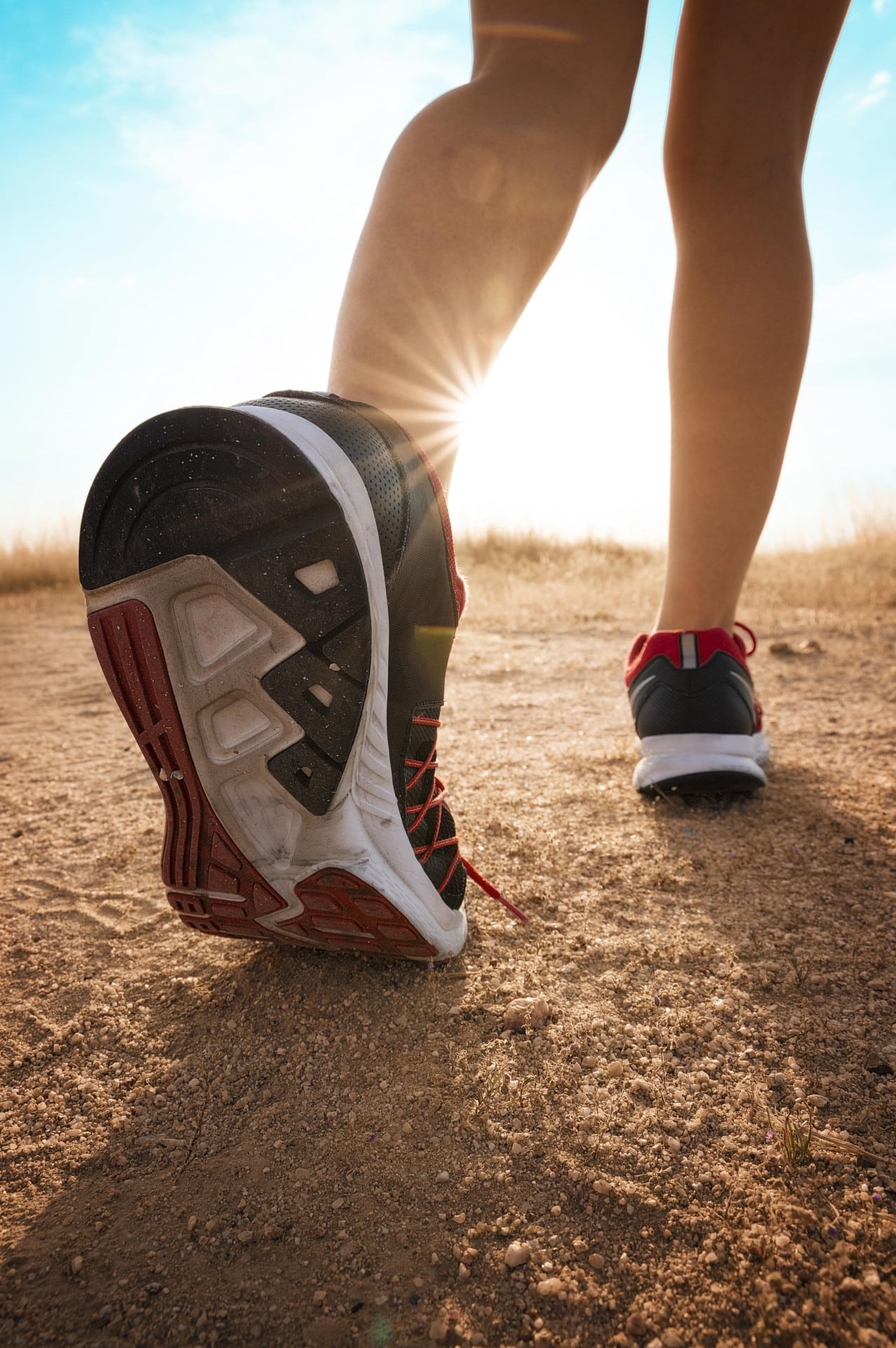 Equipamento Desportivo